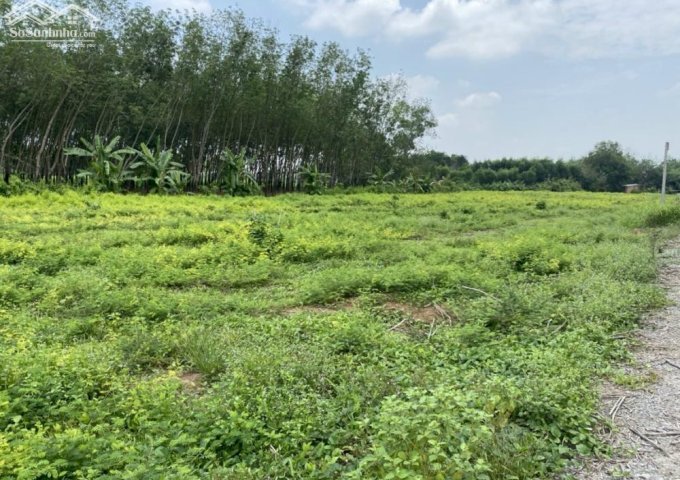 Chính chủ cần bán đất nền giá F0 thuộc khu quy hoạch dân cư Huyện Châu Thành, Tây Ninh