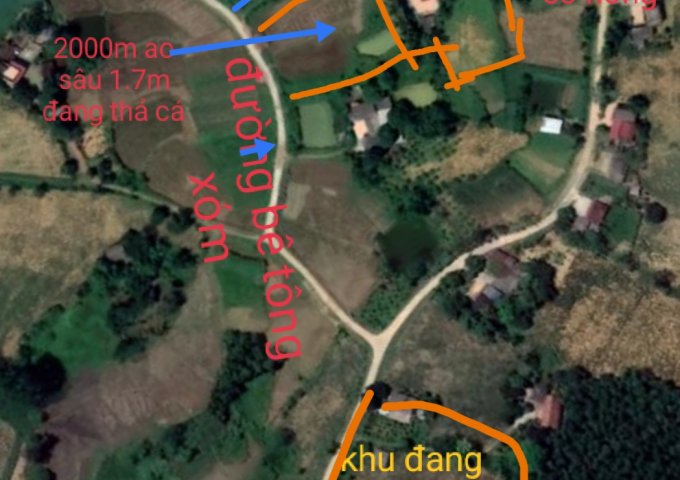 Bán nhà đất vườn 4200m thổ cư+2000m ao + 6 sào đất lâm nghiệp xã Thọ Sơn, Triệu Sơn,  Thanh Hóa diện tích 4200mm2  giá 7500 Tỷ