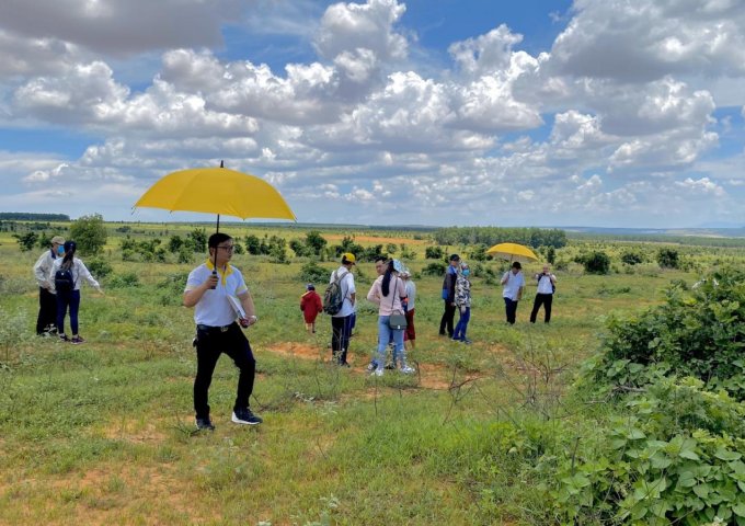 ⭐️⭐️ Lô đất đẹp vừa về ở Lương Sơn - Bắc Bình giá chỉ 120k/m2 ⭐️⭐️