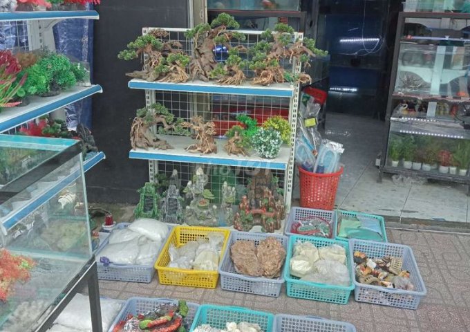 HOT: Sang mặt bằng kinh doanh tiệm cá cảnh Tân Phú, Q.7 giá tốt nhất