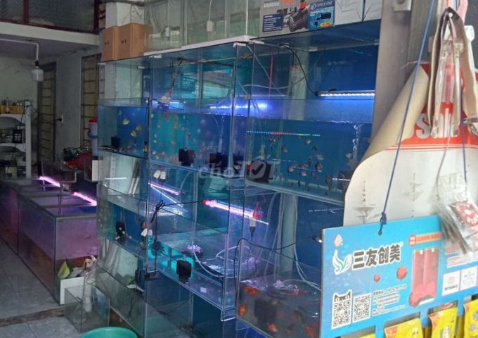 HOT: Sang mặt bằng kinh doanh tiệm cá cảnh Tân Phú, Q.7 giá tốt nhất