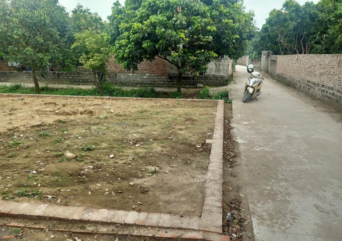 Bán 204,5m2 đất tại xã Đại Thành - Quốc Oai - Hà Nội.