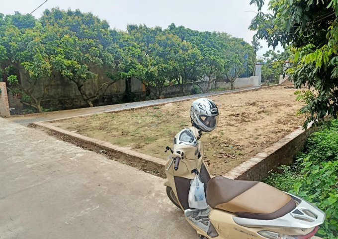 Bán 204,5m2 đất tại xã Đại Thành - Quốc Oai - Hà Nội.