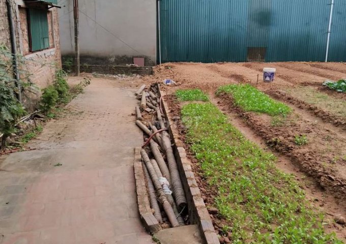 Chính chủ bán 369m2 100% đất thổ cư tại xã Đắc Sở, bìa đỏ Hà Nội