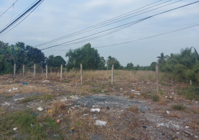 Chính chủ cần bán nhanh lô đất có view đẹp giá mềm tại Huyện Tam Bình, tỉnh Vĩnh Long.
