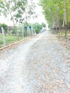 Cần Bán Lô Đất Vị Trí Đẹp Tại Thị Trấn Lai Uyên 71 - Huyện Bàu Bàng