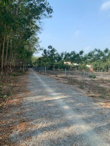 Cần Bán Lô Đất Vị Trí Đẹp Tại Thị Trấn Lai Uyên 71 - Huyện Bàu Bàng