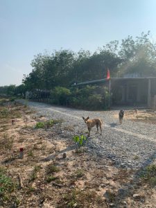 Cần Bán Lô Đất Vị Trí Đẹp Tại Thị Trấn Lai Uyên 71 - Huyện Bàu Bàng