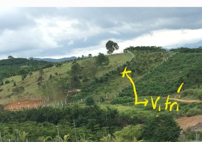 CHÍNH CHỦ CẦN BÁN 2,3 SÀO ĐẤT TẠI ĐƯỜNG PHAN HUY ÍCH, XÃ LỘC CHÂU, TP BẢO LỘC, LÂM ĐỒNG.