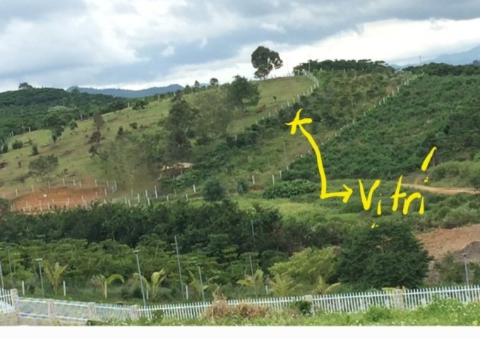 CHÍNH CHỦ CẦN BÁN 2,3 SÀO ĐẤT TẠI ĐƯỜNG PHAN HUY ÍCH, XÃ LỘC CHÂU, TP BẢO LỘC, LÂM ĐỒNG.