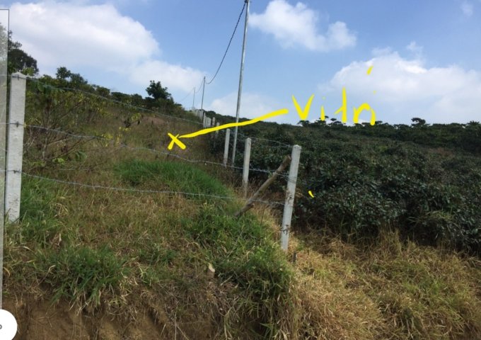 CHÍNH CHỦ CẦN BÁN 2,3 SÀO ĐẤT TẠI ĐƯỜNG PHAN HUY ÍCH, XÃ LỘC CHÂU, TP BẢO LỘC, LÂM ĐỒNG.