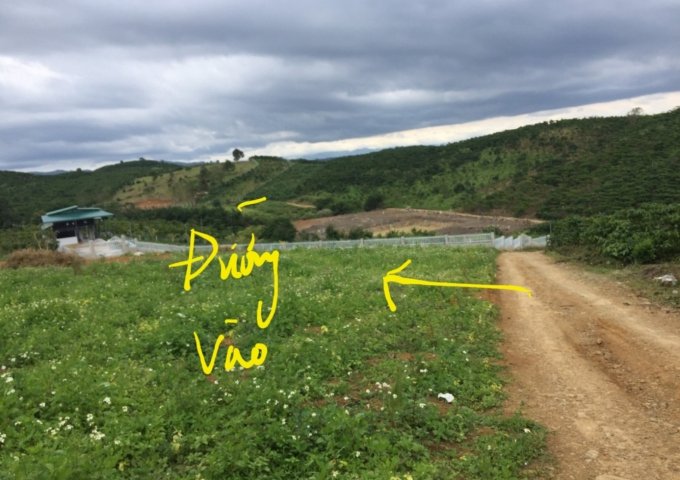 CHÍNH CHỦ CẦN BÁN 2,3 SÀO ĐẤT TẠI ĐƯỜNG PHAN HUY ÍCH, XÃ LỘC CHÂU, TP BẢO LỘC, LÂM ĐỒNG.