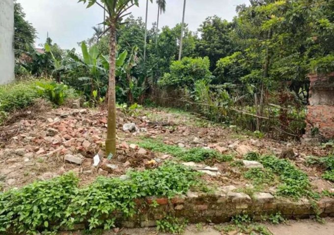 Chính chủ cần bán đất Thụy Hương, Chương Mỹ