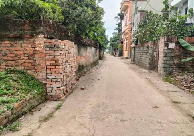 Chính chủ cần bán đất Thụy Hương, Chương Mỹ