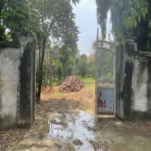 Chính chủ cần bán đất tại thôn Trầm Muộn xã Đồng Trúc huyện Thạch Thất HN