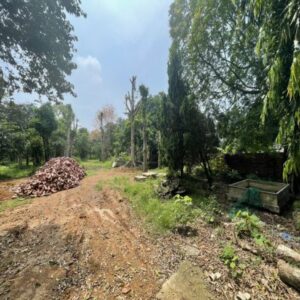 Chính chủ cần bán đất tại thôn Trầm Muộn xã Đồng Trúc huyện Thạch Thất HN