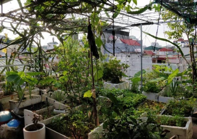 Cần bán nhà phân lô phố Đội Nhân, Phường Vĩnh Phúc, Quận Ba Đình, Hà Nội