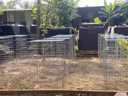 CHÍNH CHỦ CẦN SANG NHƯỢNG TRANG TRẠI GÀ ĐÁ TẠI BÌNH QUỚI QUẬN BÌNH THẠNH TP HCM.