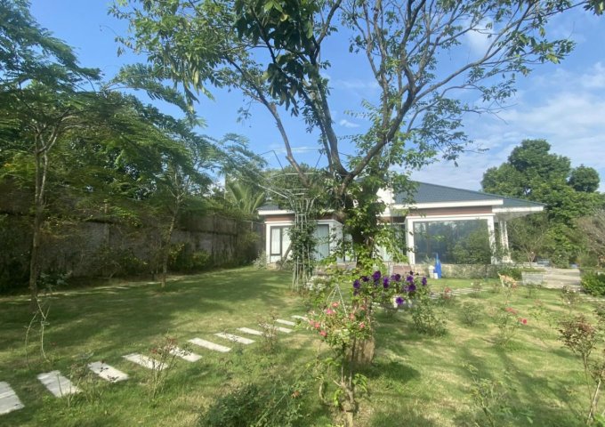 Chính chủ chuyển công tác nên bán biệt thự tâm huyết tự xây Thụy An, Ba Vì, Hà Nội