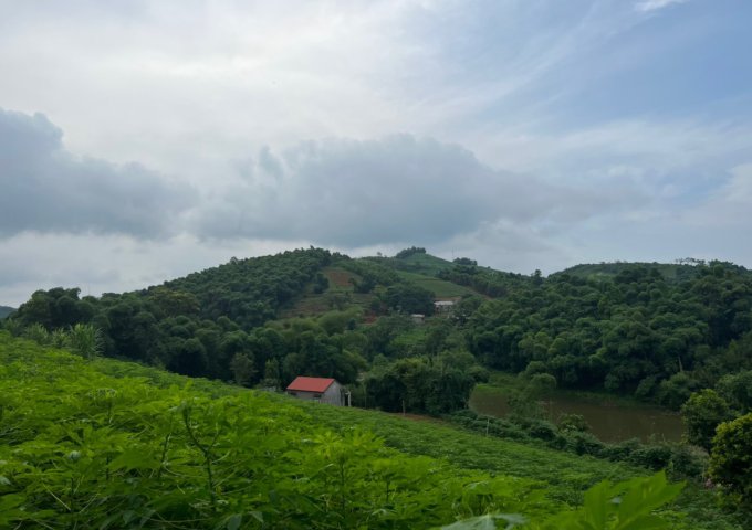 Cần bán thửa đất xã Nguyệt Ấn, huyện Ngọc Lặc, tỉnh Thanh Hóa 6962m2, bám mặt hồ 80m giá 1.05 tỷ