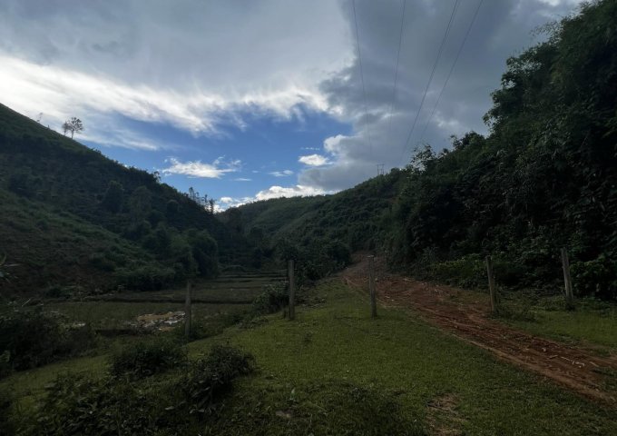 Bán đất rừng sx Huyện lắk, xã đắk nuê, đaklak