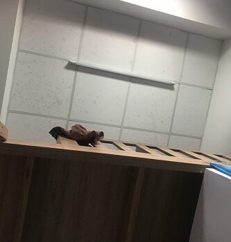 Cần Sang Nhượng Phòng Trọ Phường 5, Quận Gò Vấp, Tp Hồ Chí Minh