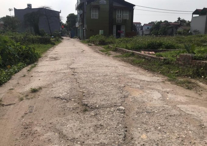 Bán gấp 60m đất Thị trấn Quang Minh,mt4.2m, ô tô tránh.