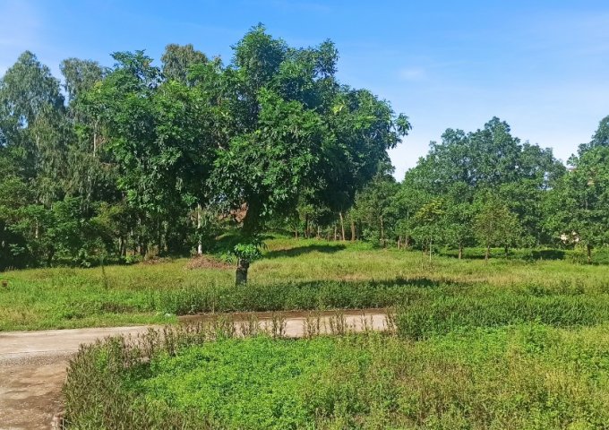 Cần bán thửa đất Trường Trung cấp Tuệ Tĩnh Thanh Hóa, Phường Quảng Thành 60.029m2 giá 140 tỷ