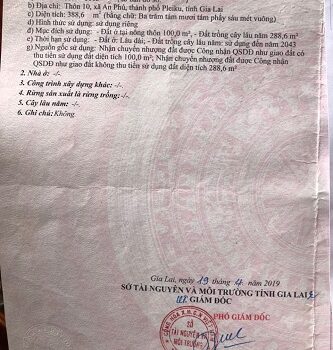 Bán lô đất mặt tiền Bùi Viện, chính chủ tại: Thôn 10, An Phú, TP Plei ku, Gia Lai