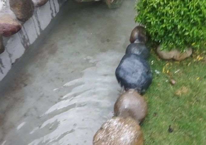 BÁN NHÀ PHỐ, KHU DÂN CƯ MỸ LỆ - CẦN ĐƯỚC, LONG AN