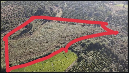 Bán lô đất đẹp giá tốt cho nhà đầu tư