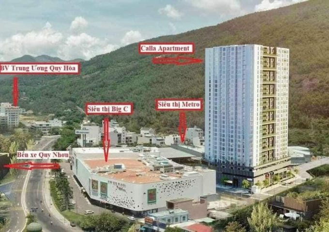 Cần bán nhanh căn hộ dự án  CALLA APARTMENT Quy Nhơn
