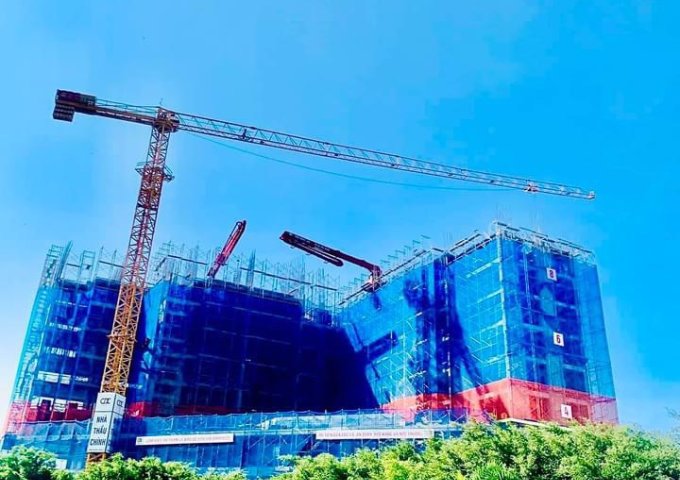 Cần bán nhanh căn hộ dự án  CALLA APARTMENT Quy Nhơn