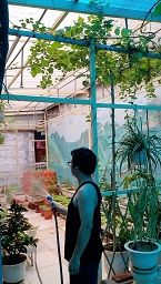 CHÍNH CHỦ BÁN NHÀ TRONG NGÕ 260 CẦU GIẤY, PHƯỜNG QUAN HOA (KHU VĂN CÔNG CẦU GIẤY)