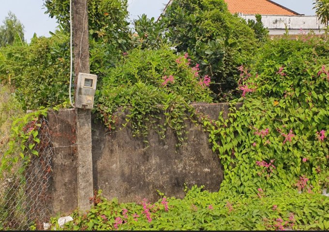 CHÍNH CHỦ CẦN BÁN ĐẤT PHƯỜNG BÌNH TÂM, THÀNH PHỐ TÂN AN, LONG AN .SÁT ĐƯỜNG TRẦN VĂN HÝ