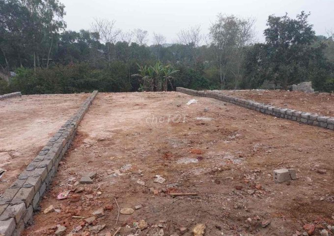 Chính chủ cần bán đất Thôn Đồi Vua, Xã Sơn Đông, Thị xã Sơn Tây, Hà Nội.