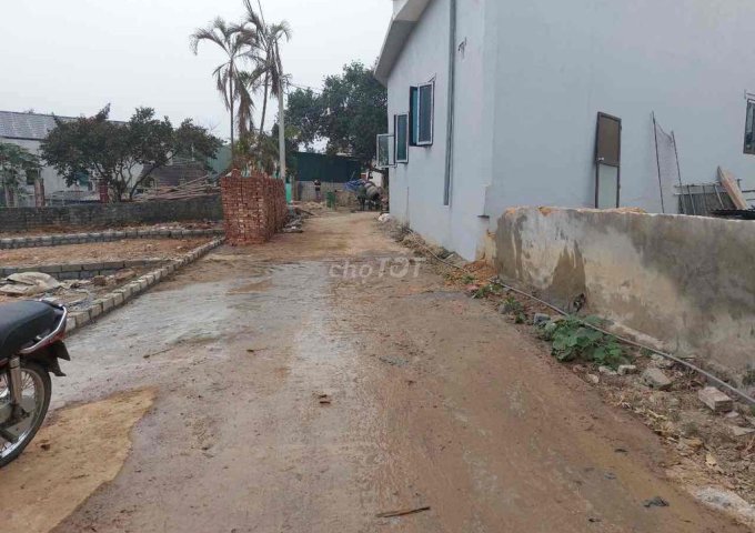 Chính chủ cần bán đất Thôn Đồi Vua, Xã Sơn Đông, Thị xã Sơn Tây, Hà Nội.