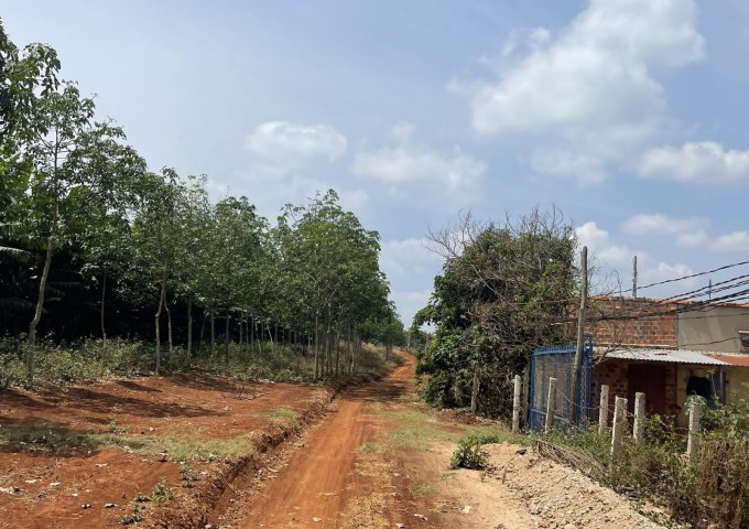 CHÍNH CHỦ CẦN BÁN ĐẤT VƯỜN THÔN KÊNH SIÊU, XÃ CHƯ PƠNG, HUYỆN CHƯ SÊ, GIA LAI.