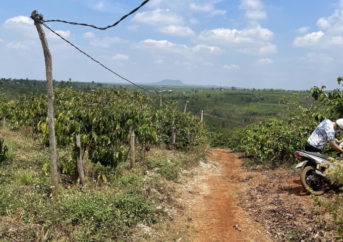 CHÍNH CHỦ CẦN BÁN ĐẤT VƯỜN THÔN KÊNH SIÊU, XÃ CHƯ PƠNG, HUYỆN CHƯ SÊ, GIA LAI.