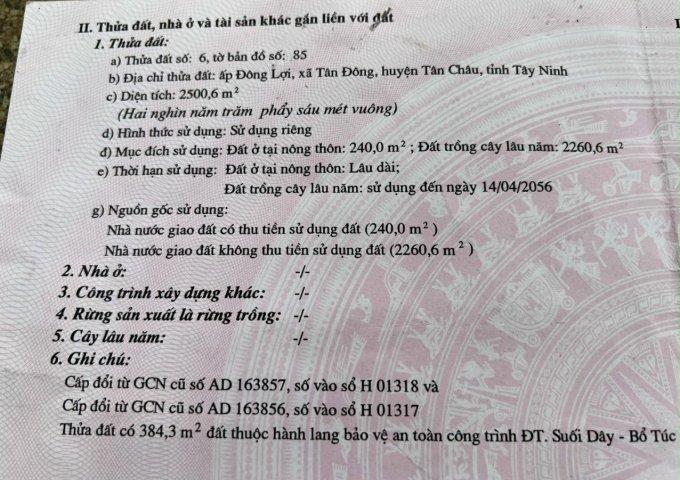 BÁN 2500M2 ẤP ĐÔNG LỢI, XÃ TÂN ĐÔNG, HUYỆN TÂN CHÂU, TỈNH TÂY NINH.