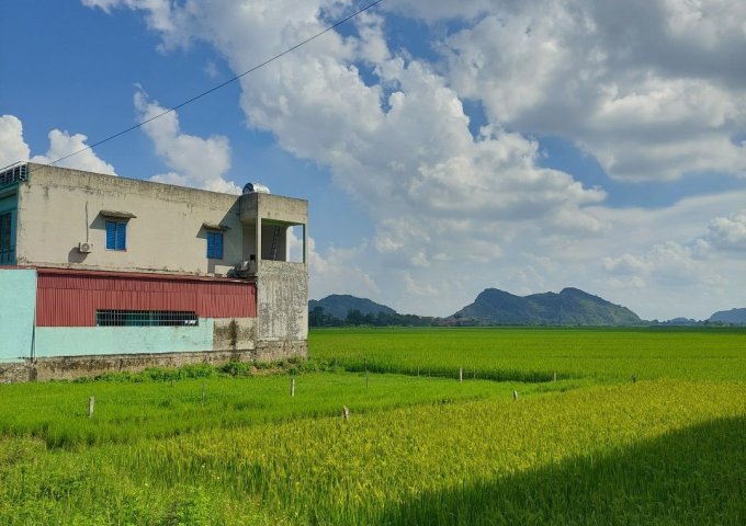 CHÍNH CHỦ CẦN RA NHANH LÔ ĐẤT VỊ TRÍ TRUNG TÂM QL217 VĨNH YÊN, VĨNH LỘC, THANH HÓA