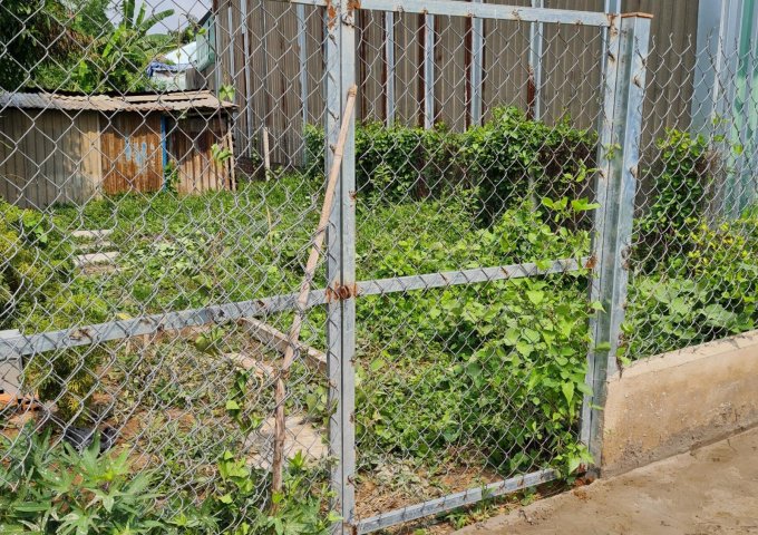CHÍNH CHỦ CẦN BÁN THỬA ĐẤT ĐƯỜNG ÔNG ĐỨC, XÃ TÂN NHỰT, HUYỆN BÌNH CHÁNH, TP HỒ CHÍ MINH