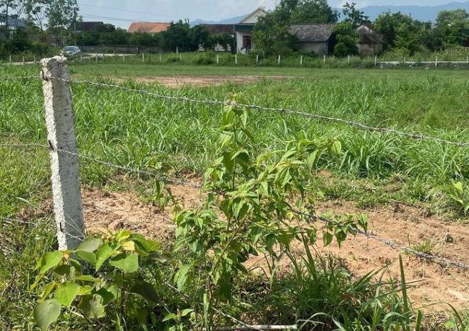 BÁN ĐẤT TẠI NGHI LỘC, NGHỆ AN GIÁ CHỈ HƠN 2TR/M2 – GIÁ ĐẦU TƯ.