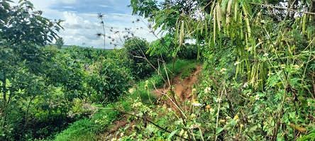 Cần bán đất tại Krông Năng, Đắk Lắk