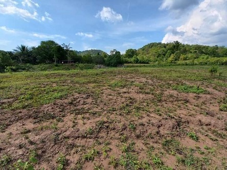 Chính chủ cần bán nhanh lô đất vị trí đẹp đầu tư