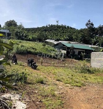 Cần bán lô đất 609m2 tại Xã Đại Lào, TP Bảo Lộc, Tỉnh Lâm Đồng