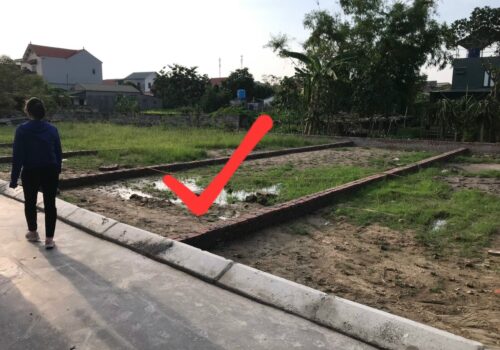 Hàng F0 chuẩn net chưa qua đầu tư tại Thuần Mỹ, Hòa Phong, Hưng Yên