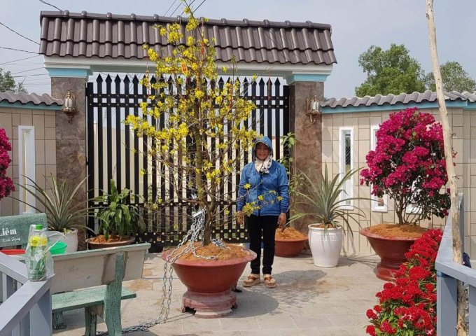 MÌNH LÀ CHÍNH CHỦ KHÔNG QUA TRUNG GIAN- ĐẤT THỔ VƯỜN CẦN GIUỘC 503M2 CƠ SỞ HẠ TẦNG ĐẸP