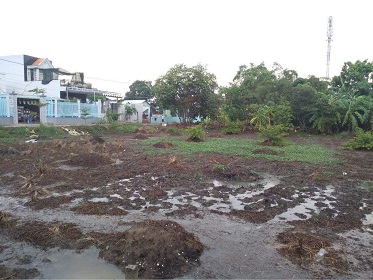 CHÍNH CHỦ CẦN BÁN KHU ĐẤT SIÊU RẺ Ở KHU VỰC BÌNH CHÁNH TP HỒ CHÍ MINH