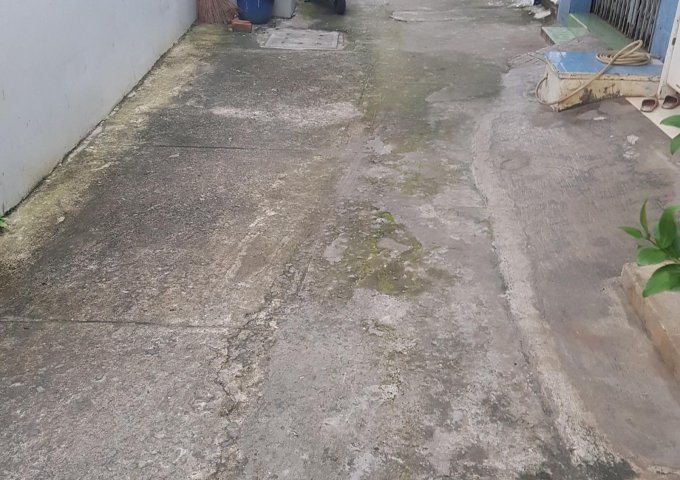 CHÍNH CHỦ CHO THUÊ NHÀ CẤP 4 NHÀ MỚI XÂY ĐƯỜNG SỐ 3, PHƯỜNG THẠNH MỸ LỢI, QUẬN 2, TP HCM